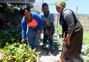 Masakhane se groentetuin